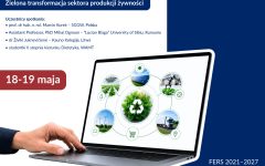 Wizyta studyjna online - 18,19 maj